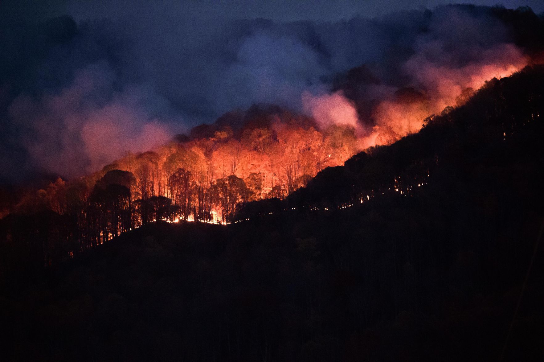 Wild fire